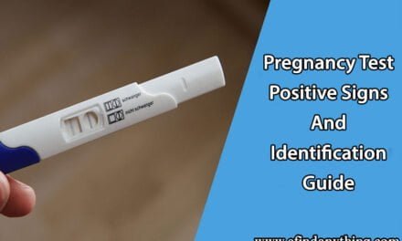 Pregnancy Test Positive Signs And Identification Guide