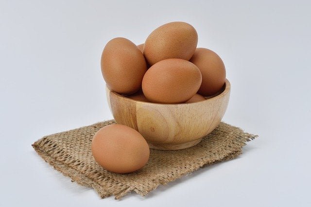 What Types of Eggs Can I Use