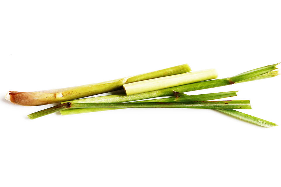 Lemongrass