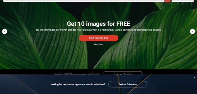 how-to-get-shutterstock-images-for-free-without-watermark