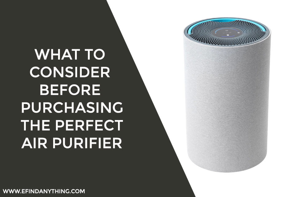 What to Consider Before Purchasing the Perfect Air Purifier