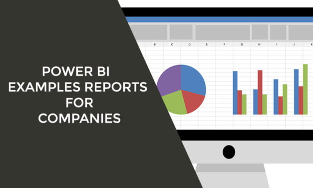 Power BI Examples Reports For Companies