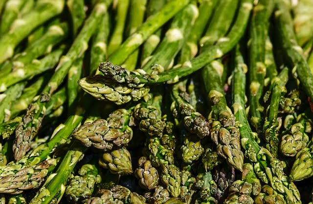 Can Sulcata Tortoises Eat Asparagus