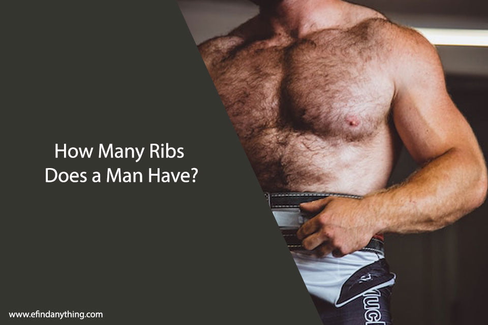 How Many Ribs Does a Man Have: Explained