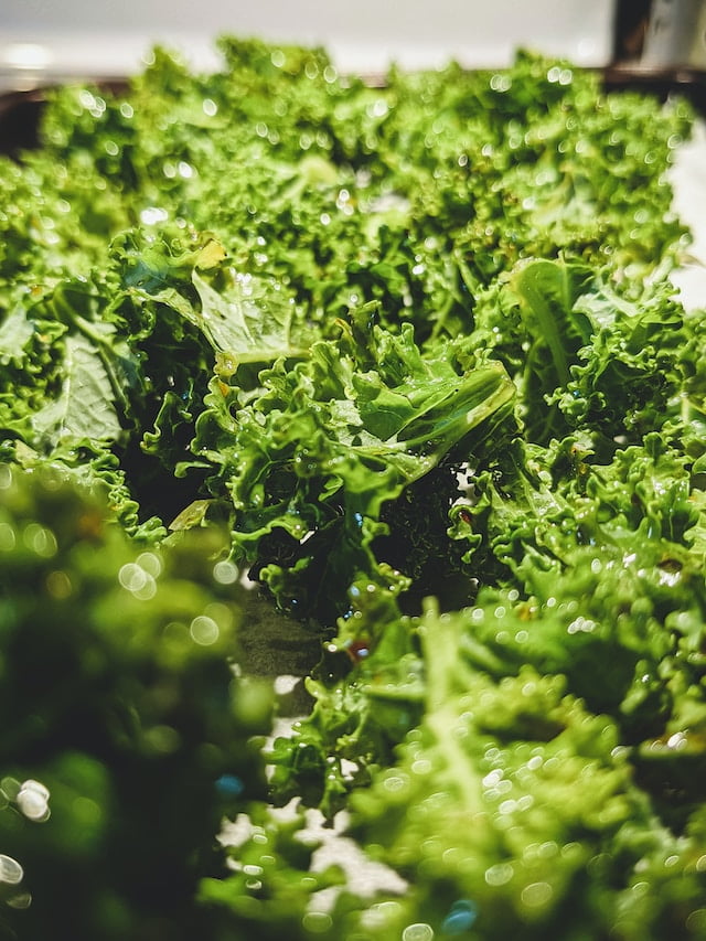 Cupcakes and Kale Chips