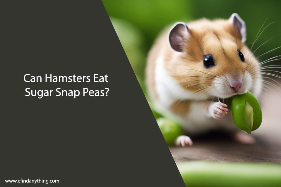 Can Hamsters Eat Sugar Snap Peas?