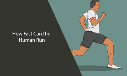 How Fast Can the Human Run?