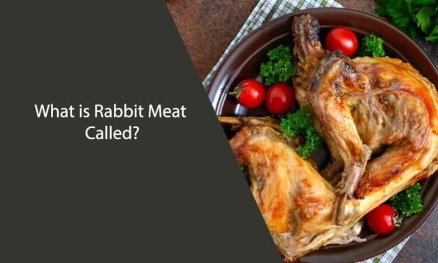 What is Rabbit Meat Called? A Comprehensive Guide