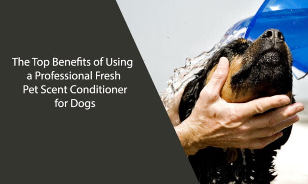 The Top Benefits of Using a Professional Fresh Pet Scent Conditioner for Dogs