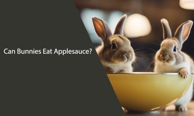 Can Bunnies Eat Applesauce?