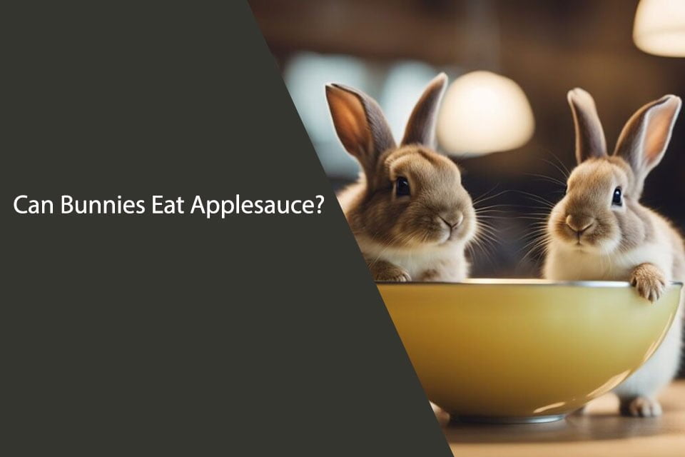 Can Bunnies Eat Applesauce?