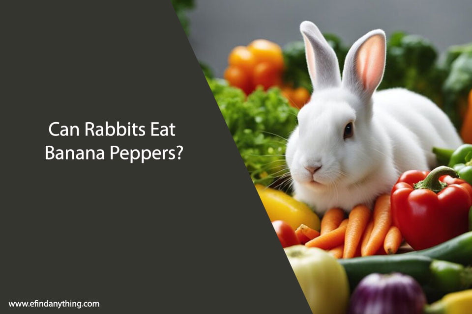 Can Rabbits Eat Banana Peppers?