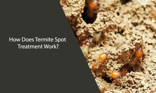 How Does Termite Spot Treatment Work?