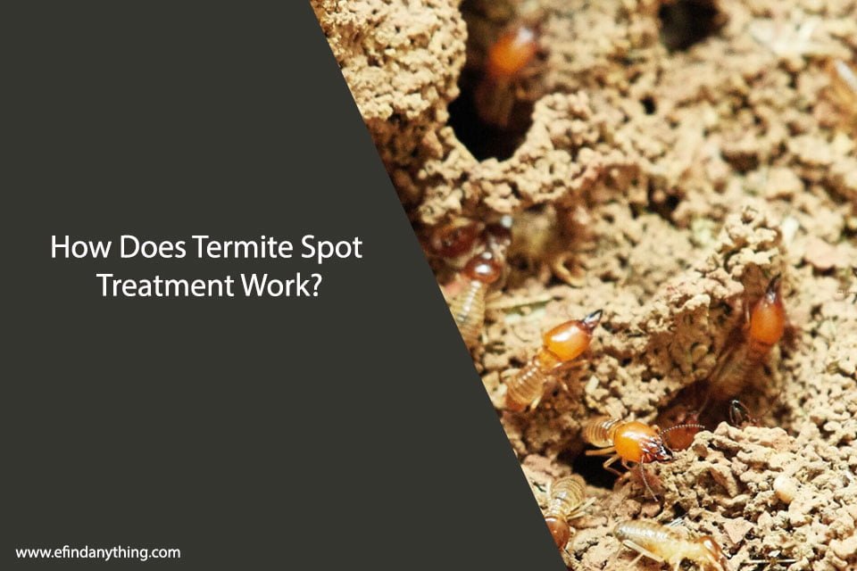 How Does Termite Spot Treatment Work?