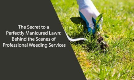 The Secret to a Perfectly Manicured Lawn: Behind the Scenes of Professional Weeding Services