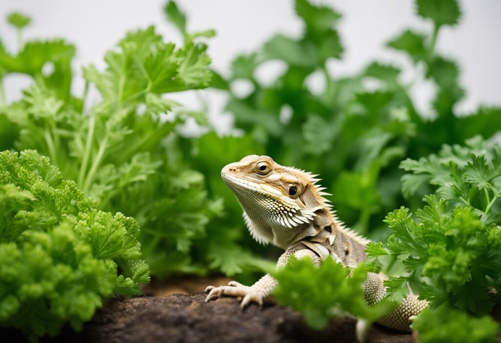 Can Bearded Dragons Eat Italian Parsley? A Comprehensive Guide