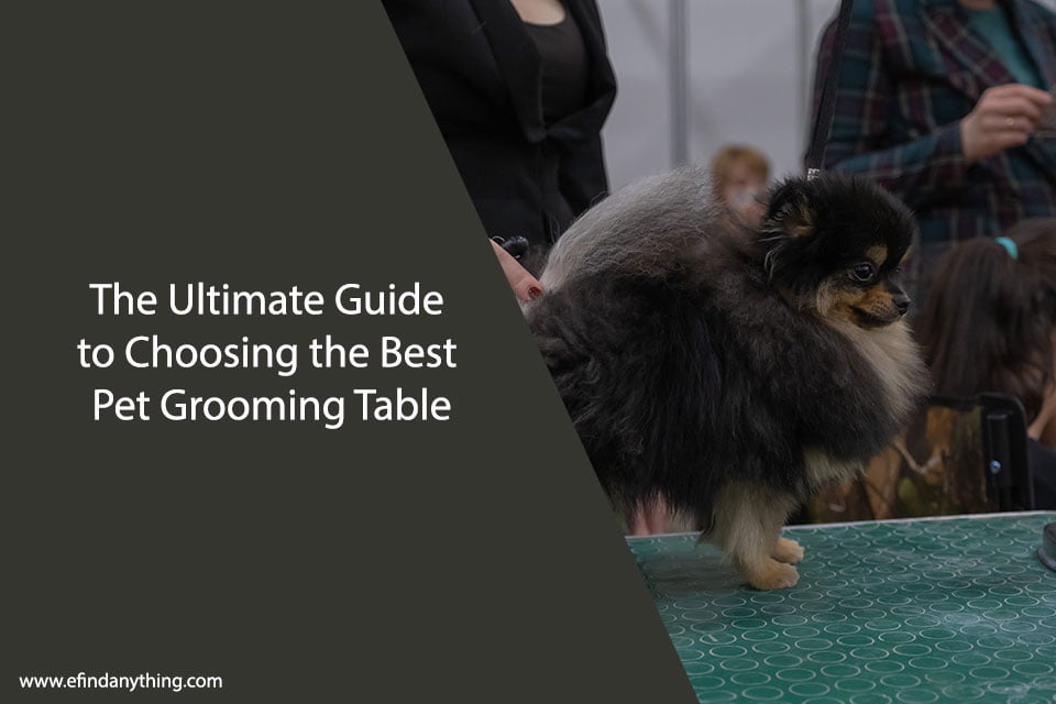 The Ultimate Guide to Choosing the Best Pet Grooming Table