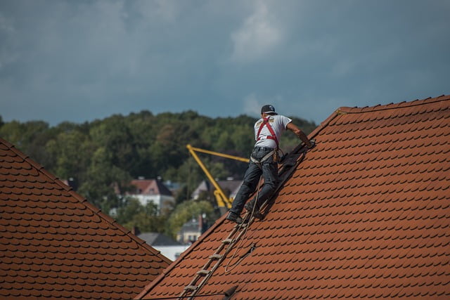 Budget-Friendly Roof Repair