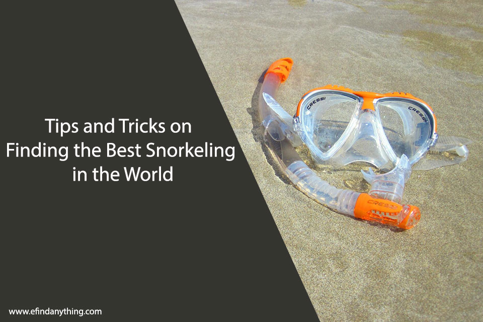 Tips and Tricks on Finding the Best Snorkeling in the World