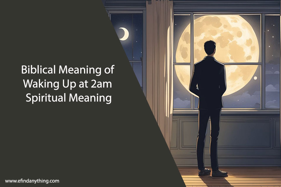 Biblical Meaning of Waking Up at 2am Spiritual Meaning