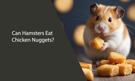 Can Hamsters Eat Chicken Nuggets? A Comprehensive Guide