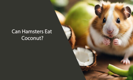 Can Hamsters Eat Coconut? A Comprehensive Guide