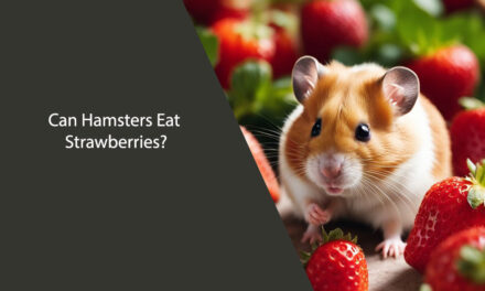 Can Hamsters Eat Strawberries? A Comprehensive Guide