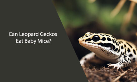 Can Leopard Geckos Eat Baby Mice?