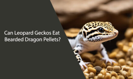 Can Leopard Geckos Eat Bearded Dragon Pellets?