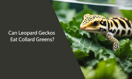 Can Leopard Geckos Eat Collard Greens?