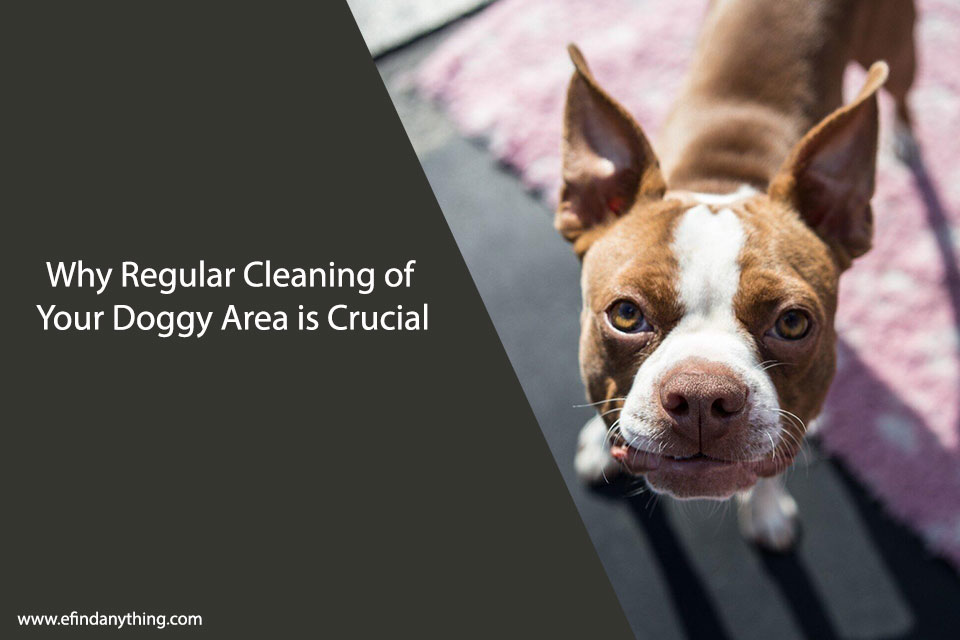 Why Regular Cleaning of Your Doggy Area is Crucial