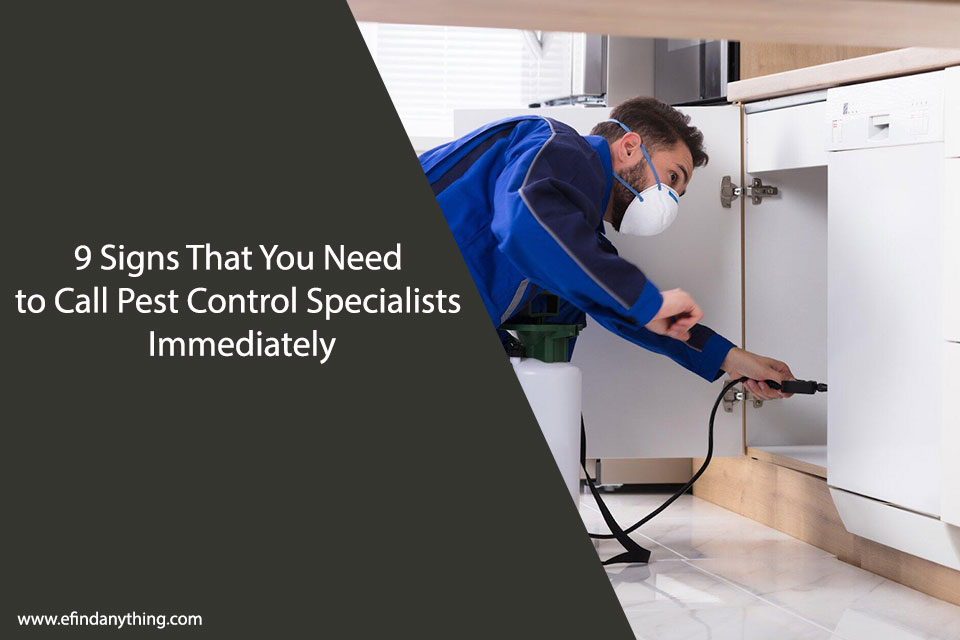 9 Signs That You Need to Call Pest Control Specialists Immediately