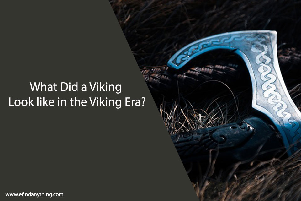 What Did a Viking Look like in the Viking Era?