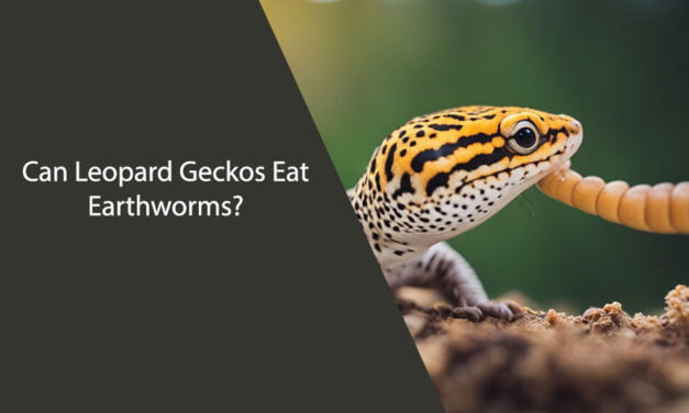 Can Leopard Geckos Eat Earthworms?