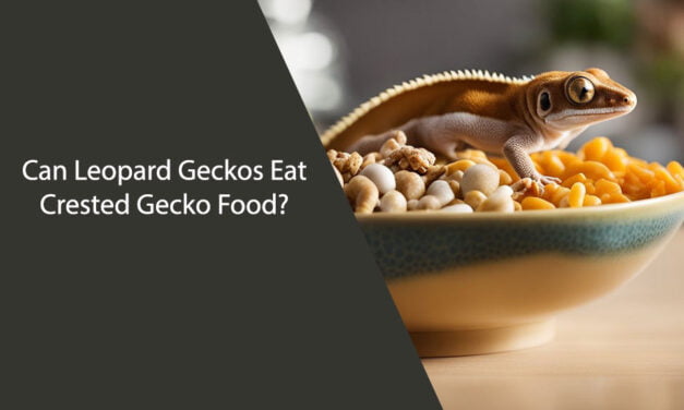 Can Leopard Geckos Eat Crested Gecko Food?