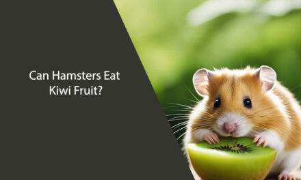 Can Hamsters Eat Kiwi Fruit? A Comprehensive Guide