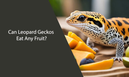 Can Leopard Geckos Eat Any Fruit?