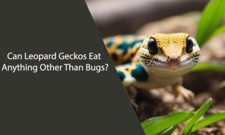 Can Leopard Geckos Eat Anything Other Than Bugs?