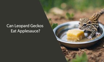 Can Leopard Geckos Eat Applesauce?