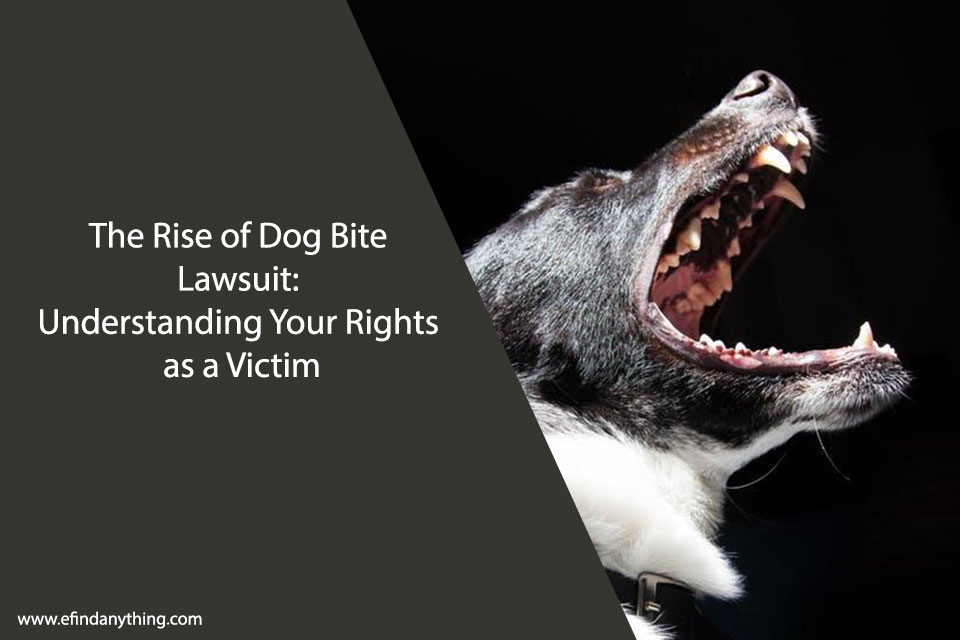 The Rise of Dog Bite Lawsuit: Understanding Your Rights as a Victim