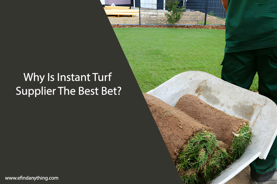 Why Is Instant Turf Supplier The Best Bet?