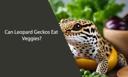 Can Leopard Geckos Eat Veggies?