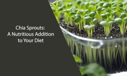 Chia Sprouts: A Nutritious Addition to Your Diet