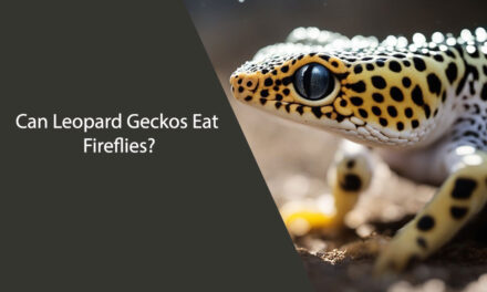 Can Leopard Geckos Eat Fireflies?