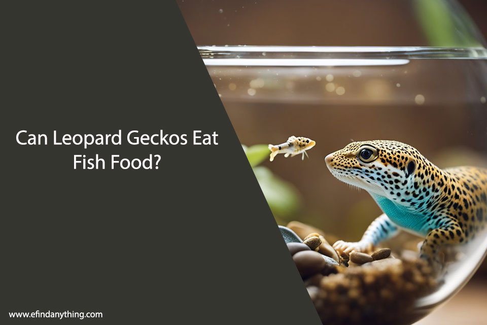 Can Leopard Geckos Eat Fish Food?