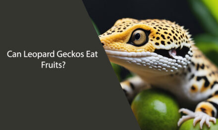 Can Leopard Geckos Eat Fruits?