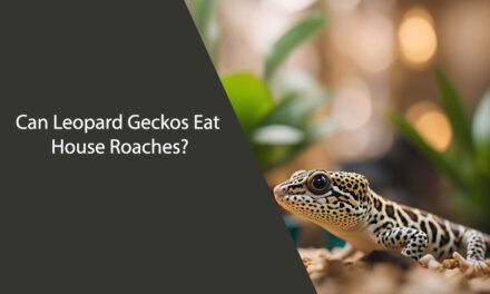 Can Leopard Geckos Eat House Roaches?