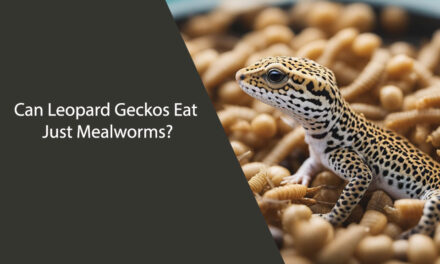 Can Leopard Geckos Eat Just Mealworms?