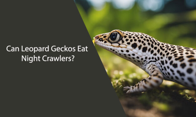 Can Leopard Geckos Eat Night Crawlers?