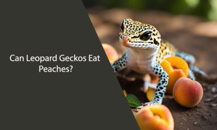 Can Leopard Geckos Eat Peaches?